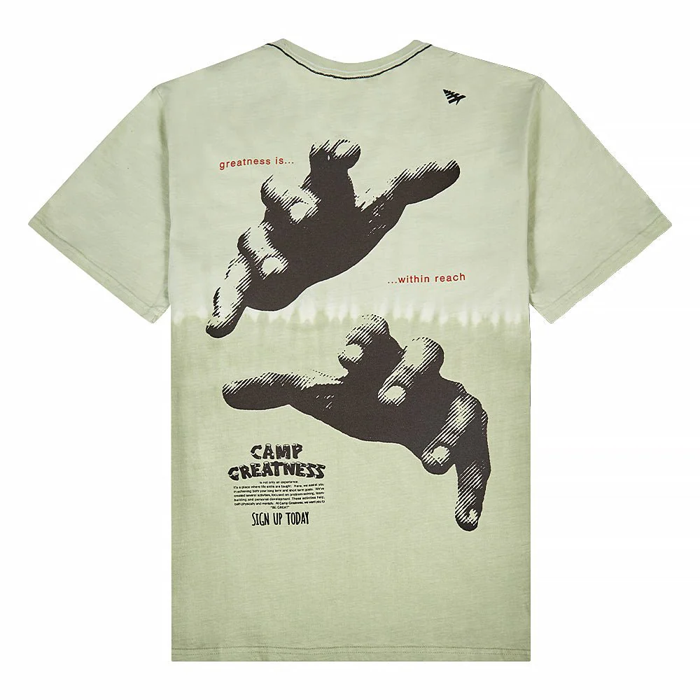 Greatness Within Reach Tee | Sage - Image 2