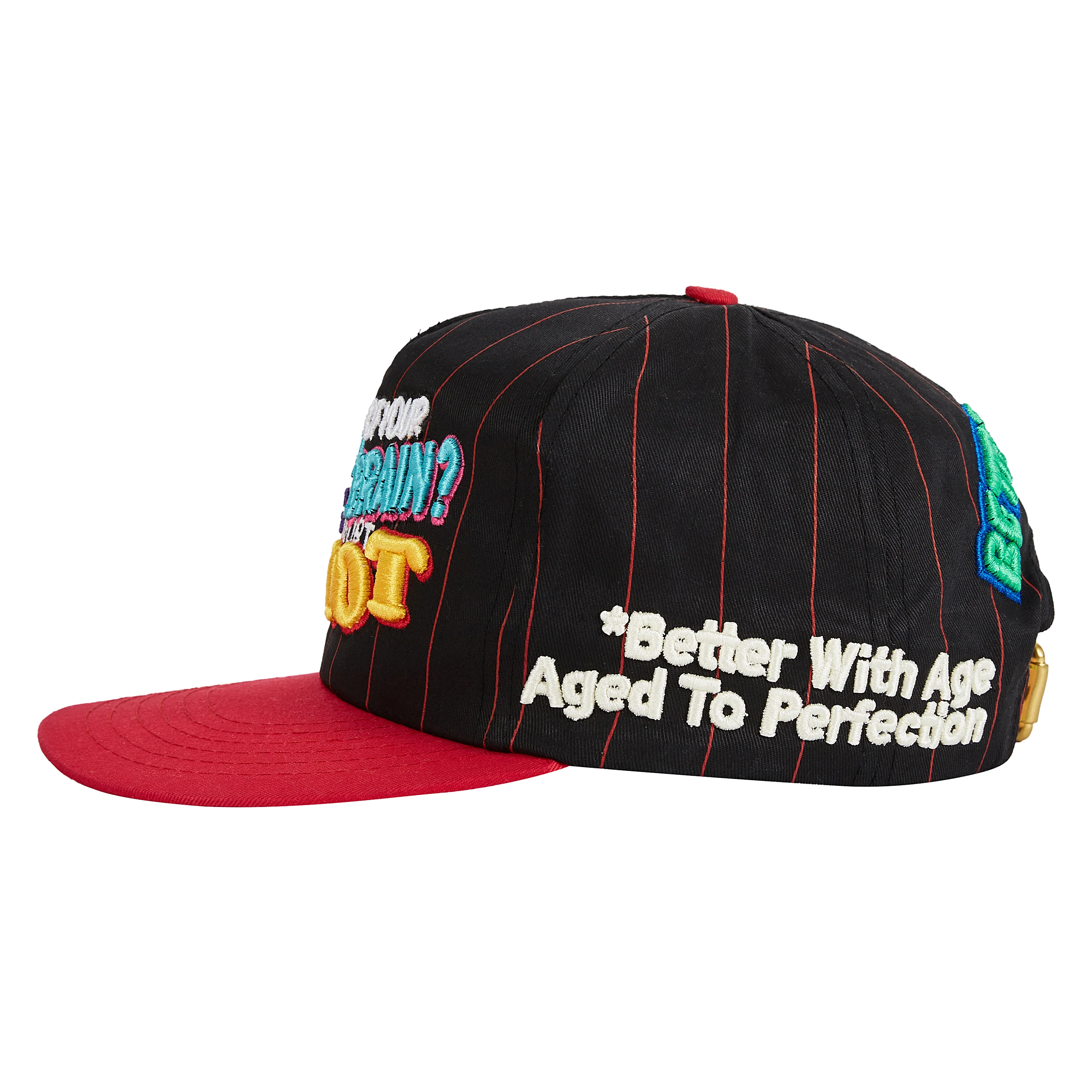 Idiotic Vintage Hat | Black Pintstripe - Image 3