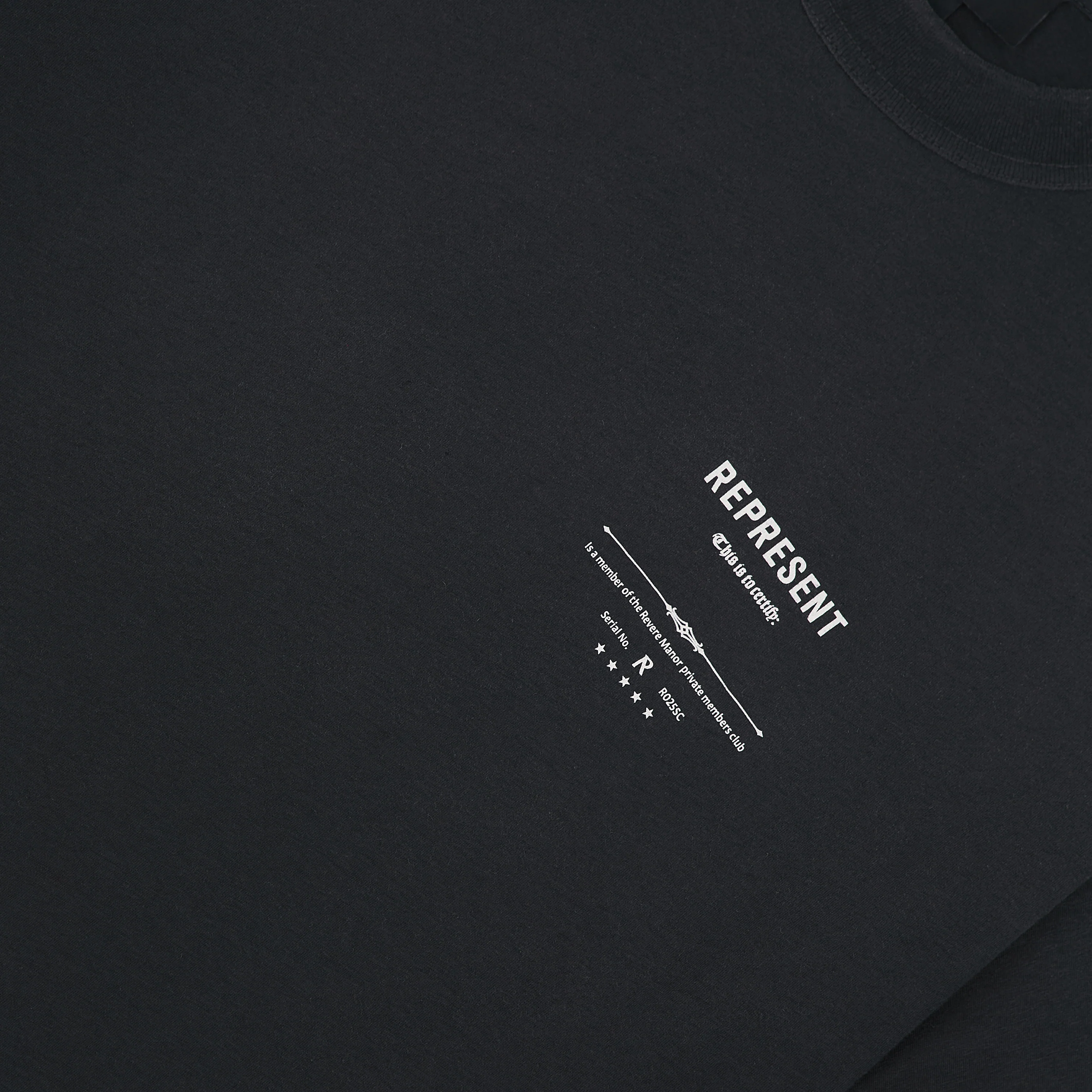 Revere Manor Tee | Stained Black - Image 4