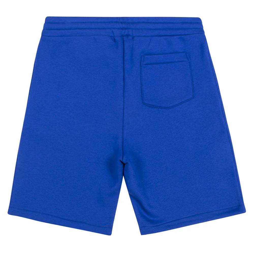Spectre Fleece Short | Blue - Image 4