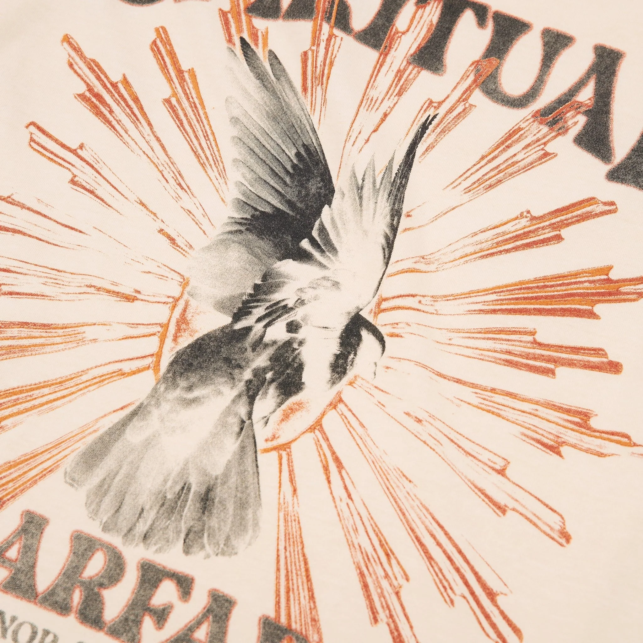Spiritual Conflict Tee | Bone - Image 2