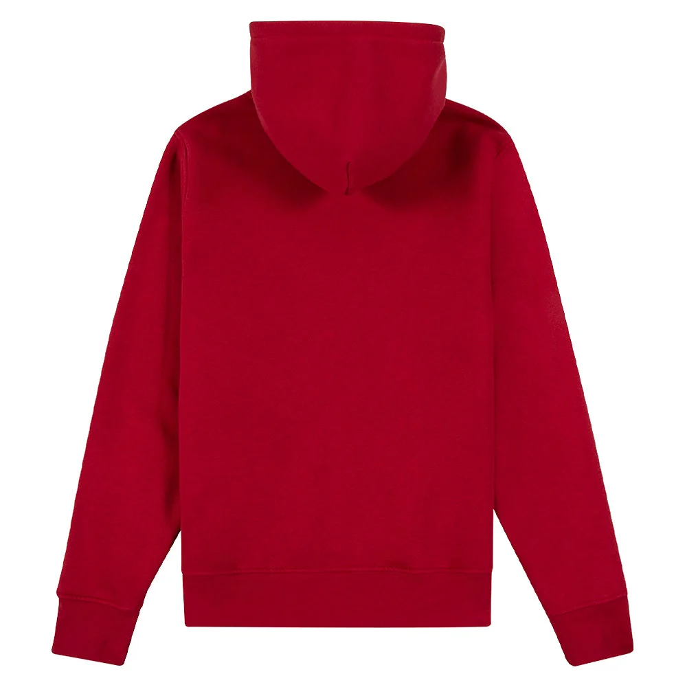 Tiger Bear Hoodie - Image 4