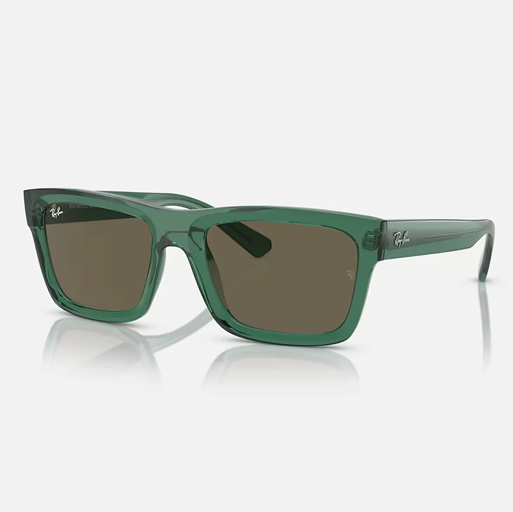 Warren Sunglasses | Transparent Green/Brown